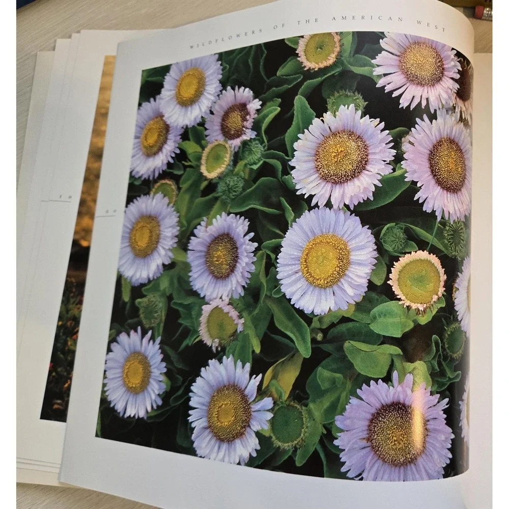 Vintage Wildflowers of the‎ American West, soft cover, Rose Houk, 1987